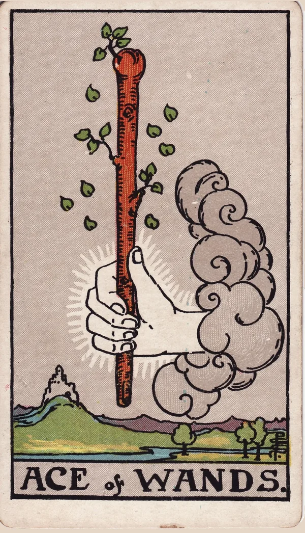 완드 에이스 (Ace of Wands) 타로 카드 이미지