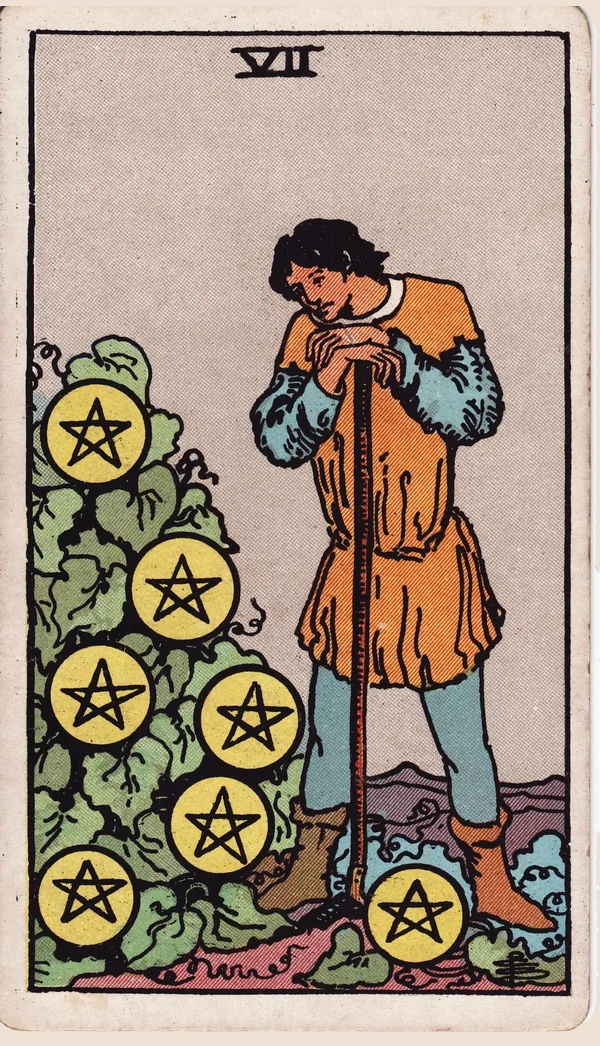 펜타클 7 (Seven of Pentacles) 타로 카드 이미지